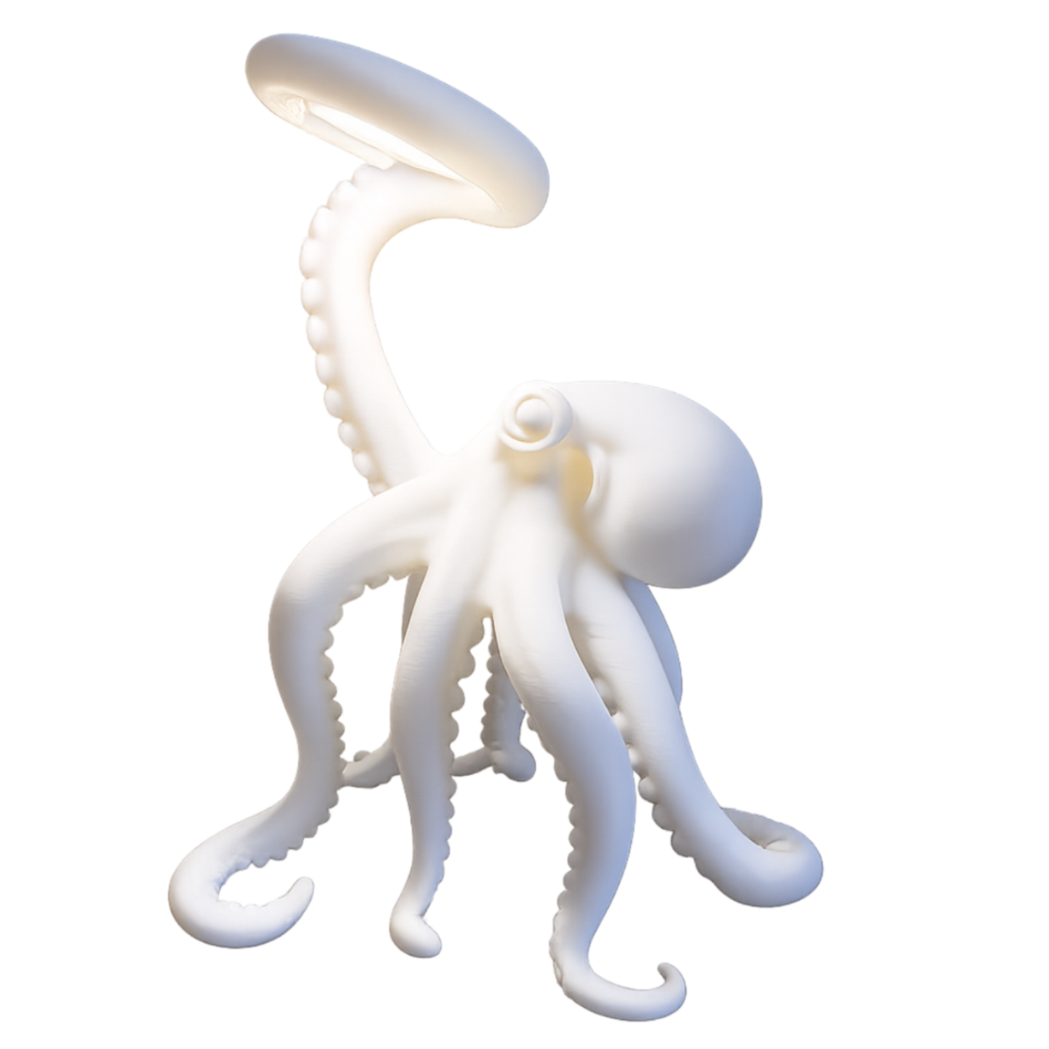 Candeeiro de Mesa Polvo